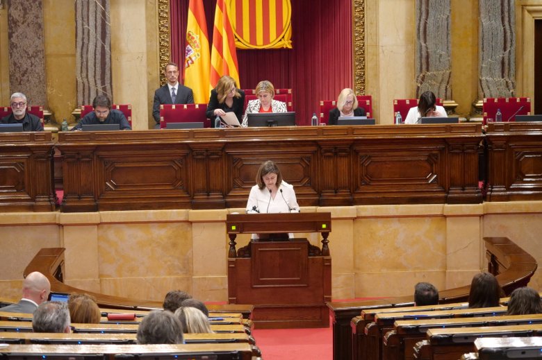 Ara demana dera sindica d’Aran, Maria Vergés, eth Parlament de Catalonha a modificat era lei en tot ratificar er occitan coma lengua veïculara en ensenhament non universitari en Aran