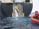 Japon va reprene la pesca comerciala de balenas