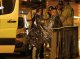 Manchester: l’Estat Islamic se revendica autor de l’atemptat en contradisent la version de la polícia