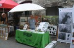 Los país qui an hicat en plaça mejans eficaç tà la sauvaguarda de l’ors que s’i son tots escaduts