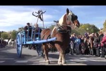 Tè Vé Òc: La fièira de la Sant Martin en Aramon