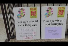 Tè Vé Òc: Manifestacion per lei lengas regionalas