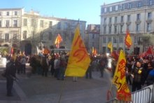 Manifestacion per l'occitan dins l'ensenhament public. Montpelhièr 16 de febrièr 2013