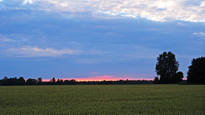 La campanha estoniana