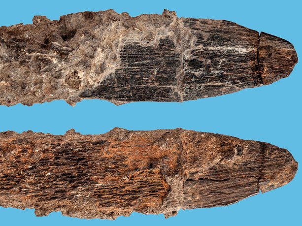 Una còla de cercaires de Marròc poguèt analisar e classar un cotèl fach d’òs dins una cauna d’aquel país. Segon los cercaires, lo cotèl seriá lo mai ancian jamai trobat d’aquel biais e restacat amb la cultura ateriana