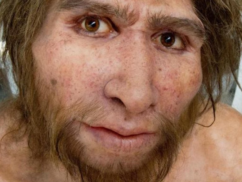 Segon mai d’un cercaire, la cara dels denisovans èra plata, semblabla a la dels neandertalians. Lo nas èra ample e original. E de nòvas donadas actualas confirman que demorèt dins la balma de Denisova entre fa 300 000 e 50 000 ans