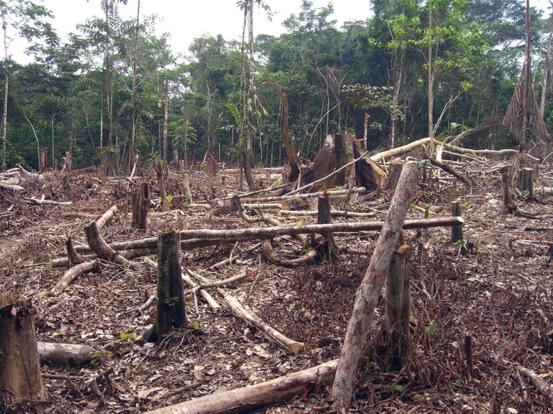 Qualques zònas d’Amazonia emeton mai de CO<sub>2</sub> que n’absorbisson, a causa dels incendis, de la desforestacion e de l’aument de las temperaturas