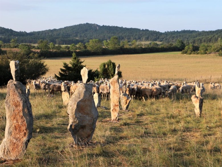 S’agís de pèiras amontairadas, tiradas dels clapasses del causse, que forman de siloetas umanas