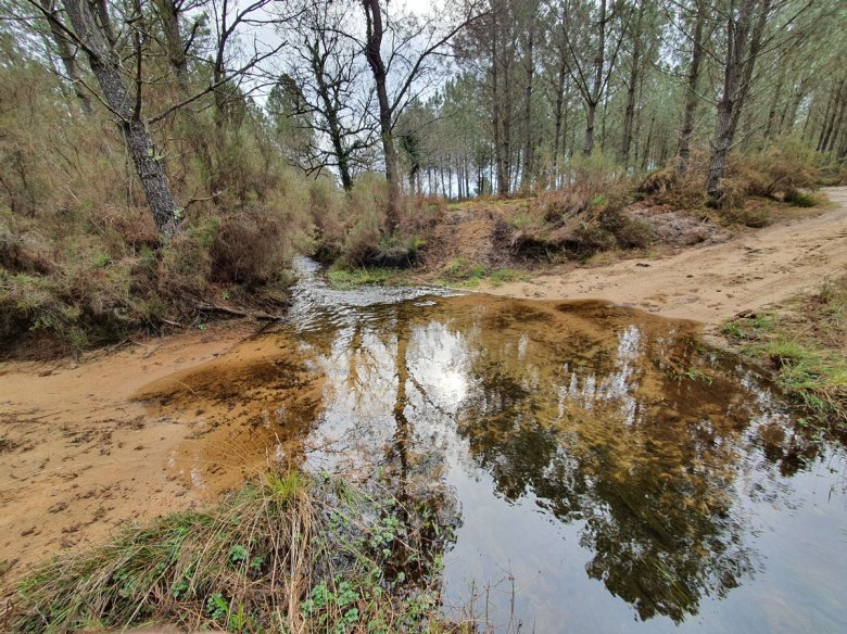 Un guà dens la seuva lanusqueta