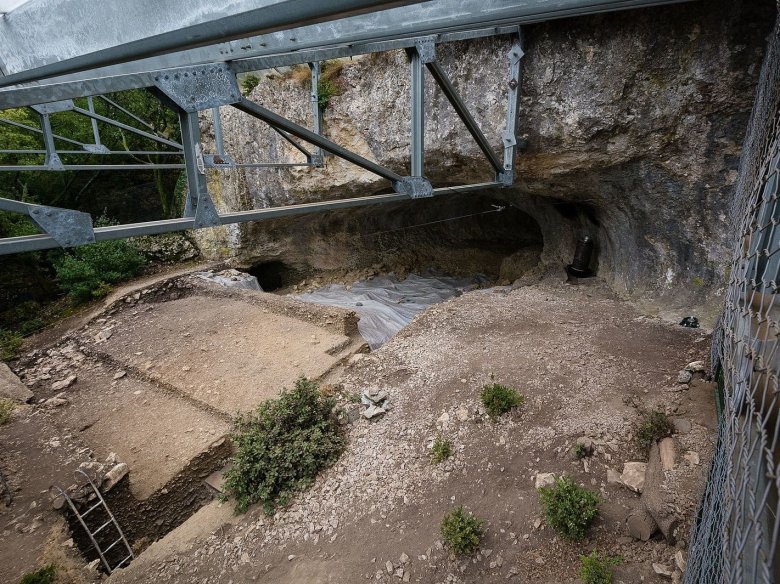 Una còla de cercaires a confirmat la preséncia d’un caissal de nòstra espècia al sòl de la balma Mandrin, a Malatavèrna, en Vaudaina