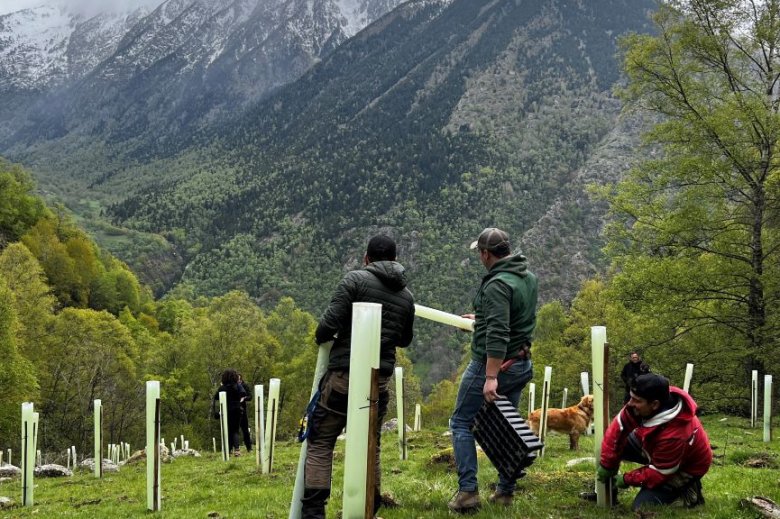 Era plantacion de 7000 arbes frutèrs vò facilitar eth noiriment des plantigrads en zònes aluenhades des populacions