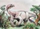 An trobat una nòva espècia de sauropòde