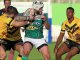 Rugbi de XIII: un dimenge en verd e blanc