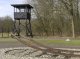 La societat ferroviària olandesa pagarà d’indemnitats per aver menat de mond dins los camps nazis