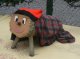 Cossí an recuperat la tradicion del <em>Tió de Nadal</em> en Catalonha Nòrd