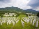 Segon la justícia, los Païses Basses son responsables d’un 10% del genocidi d’Srebrenica