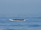 Almens 116 mòrts dins un dels naufragis mai tragics en Mediterranèa
