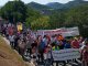 Aragon: manifestacion transfrontalièra contra l’ors dins los Pirenèus
