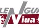 Lengua Viua