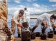 Maurici: contunha l’escampament de petròli