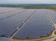Lana Gran: un projècte fotovoltaïc compta de destruire 1000 ectaras de forèst