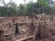 Amazonia s’esfondrarà se Bolsonaro demòra president