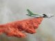 Tolosa: reciclar d’ancians avions de linha per combatre los incendis