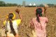 Lo pòble indigèna guaraní kaiowà fa tornarmai una crida al Mond per sa subrevivéncia