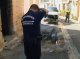 An cremat catòrze veïculs en mièja ora a La Vaur