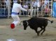 Serada de l'Escòla Taurina a Pomarés