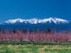 A Canigó li dison pas mai “Canigou”