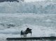 A jogat de piano sus l’Ocean Artic per una campanha de Greenpeace