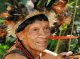 La genetica restaca Amazonas e Australasia
