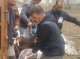 Los tres orsalhons que nasquèron l’an passat en Aran son estats menats en Lavedan