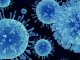 Es identificat un nòu grop de virus gigants